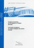 Publicatie: de Europese Conventie voor de adoptie van kinderen: nu als publicatie te verkrijgen