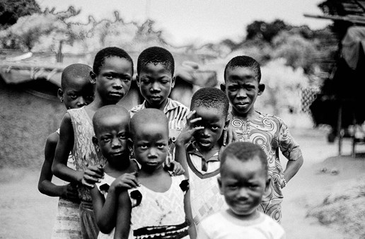 africa-6289451_1280