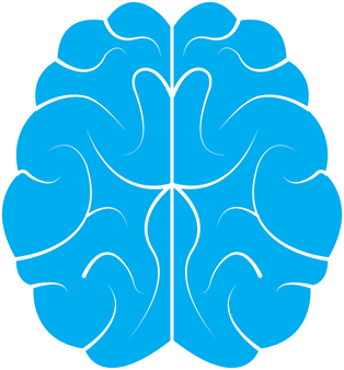 brain-gce79fcc10_1280