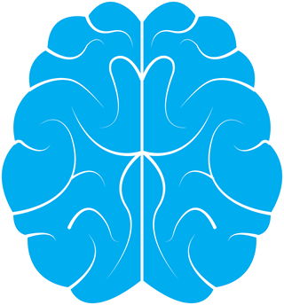 brain-gce79fcc10_1280