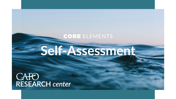 CE Self-Assessment