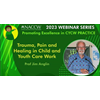 Webinar 'Trauma, Pain and Healing in Child and Youth Care Work'